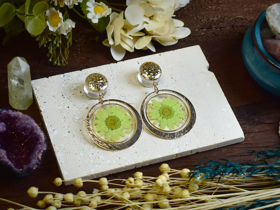CHARM0005-3