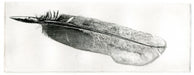 feather001