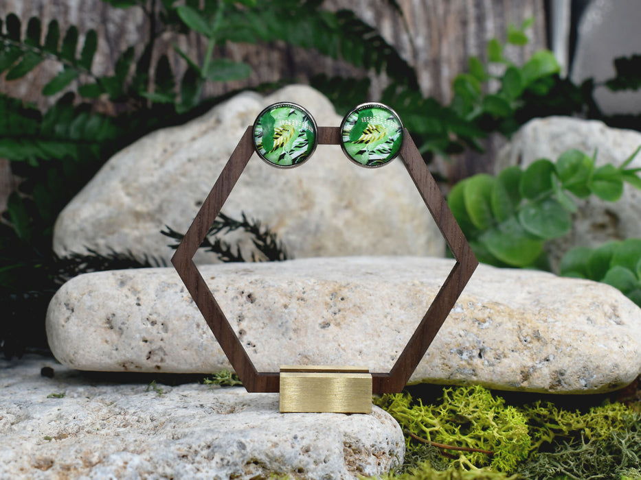 Stud Earrings With Resin Cabochon #437