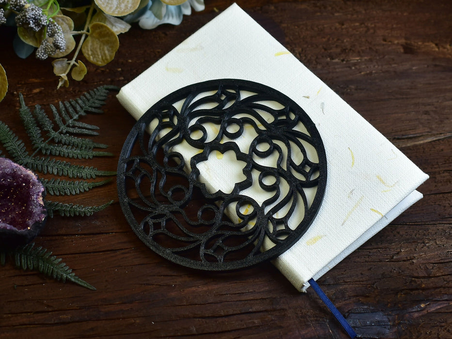 coaster_6_2