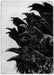 Inquisition copy2
