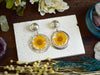 CHARM0002-1