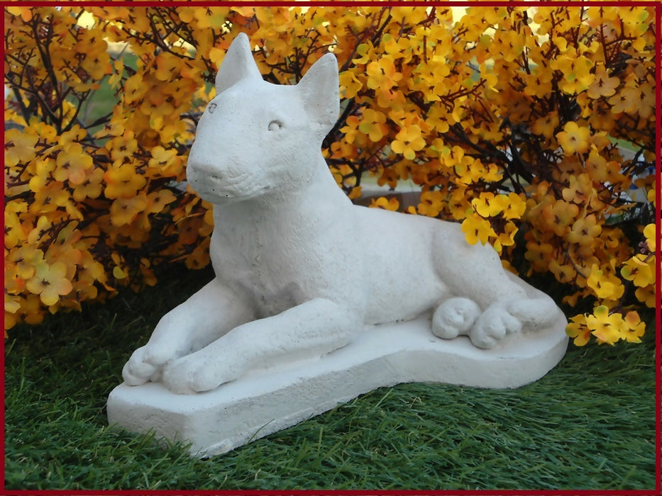 bull terrier 2