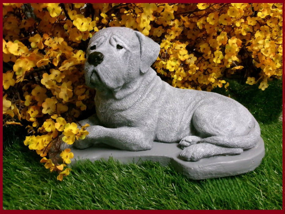 mastiff1 (2)
