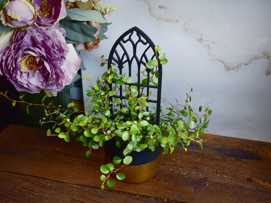 gothic_trellis_1-3