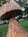 PXL_20240902_223629272-1024-comp