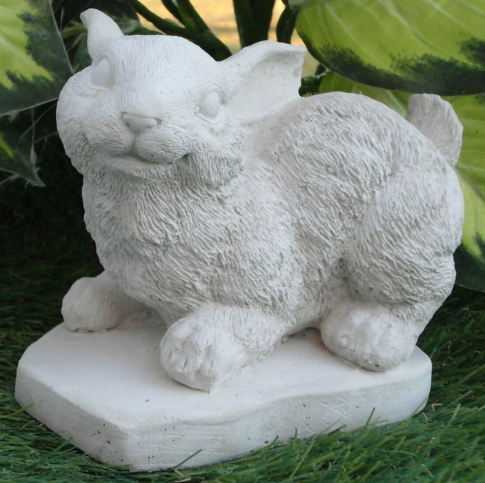 bunny1