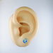 Magnetic_Clip_On_Invisible_Clipon_Stud_Pierced_Nonpierced_Earring_Earrings_Ear_Charm_Profession_Teacher_School_Earth_Globe_6mm