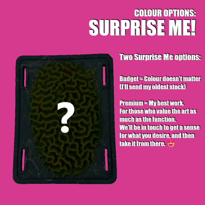 An explanation that Kora can also be purchased with two different "Surprise Me" options -- The Budget option for those who don't care at all what colour they get, and the Premium Option for those whom want my best artworks.