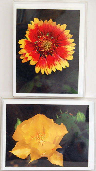 firewheel n cactus boxed sets