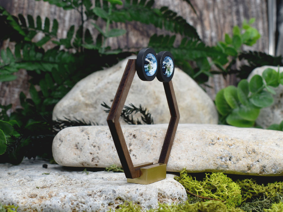 Wood Stud Earrings With Glass Earth Cabochon #205