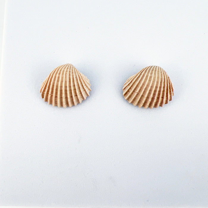 Earrings Clam Shell Stud Earrings