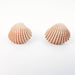 Earrings Clam Shell Stud Earrings