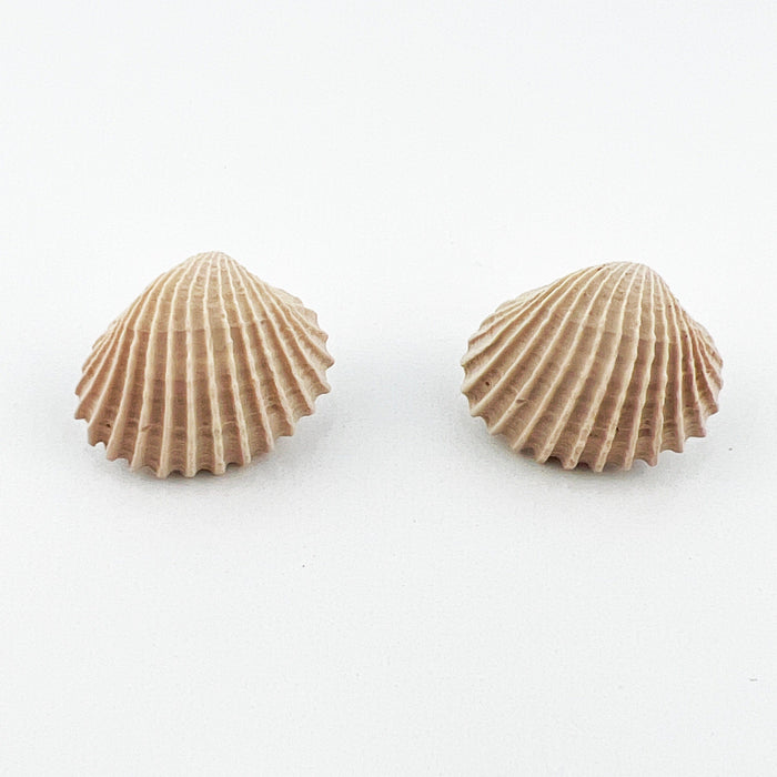 Earrings Clam Shell Stud Earrings