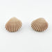Earrings Clam Shell Stud Earrings