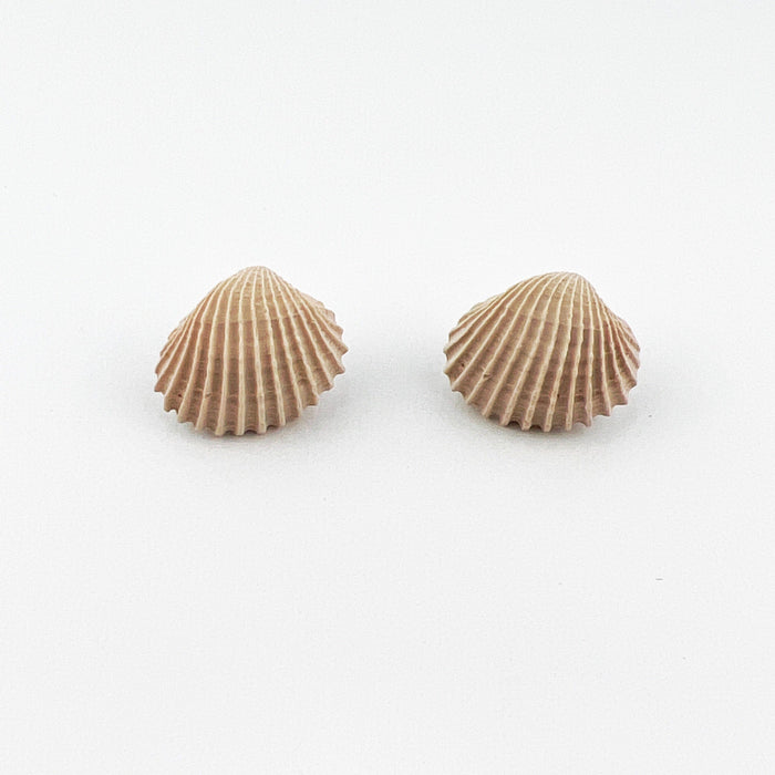 Earrings Clam Shell Stud Earrings