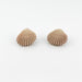 Earrings Clam Shell Stud Earrings