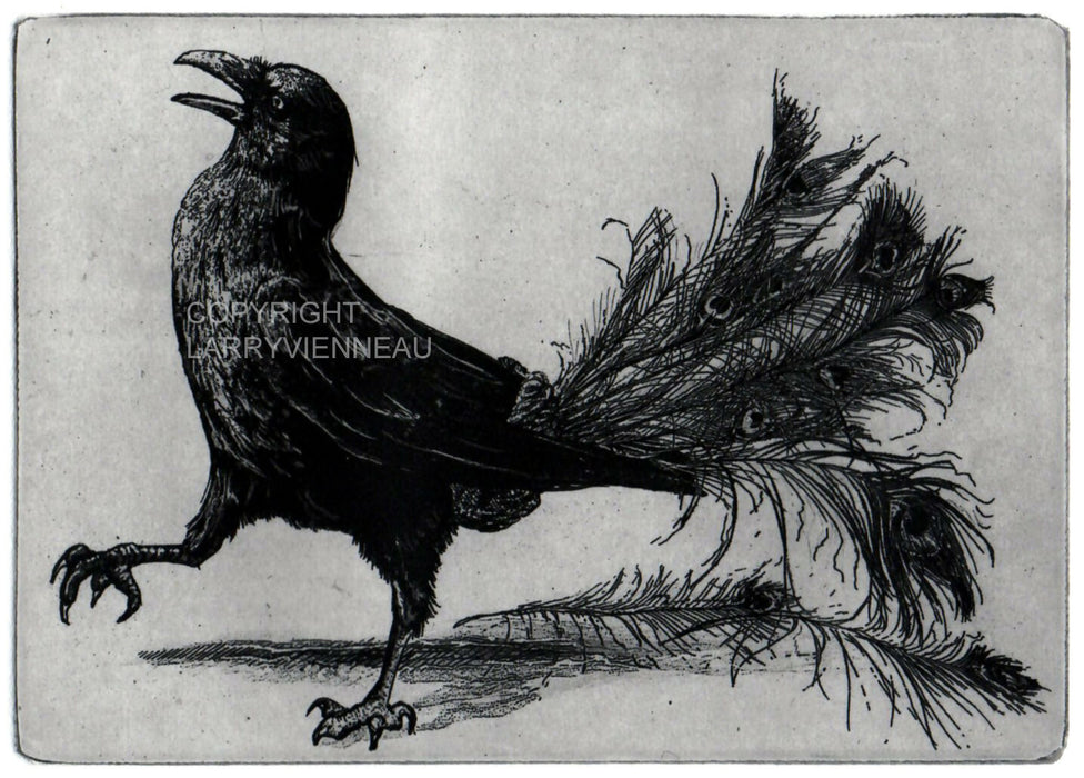 CROW AND PEACOCK copy