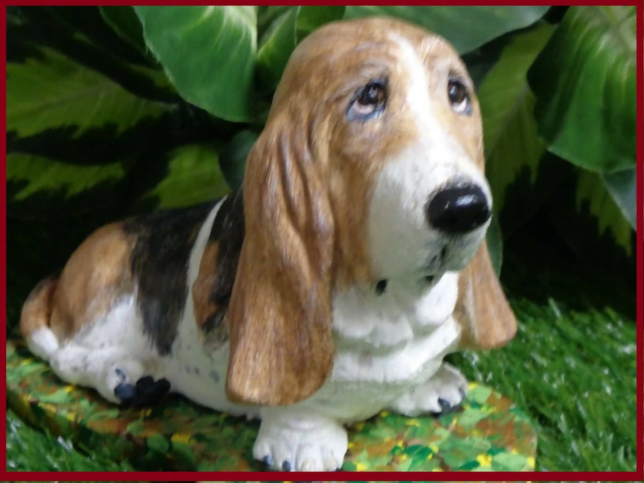 bassett7