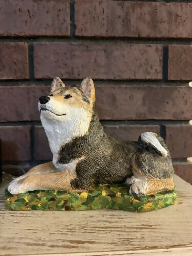 shiba