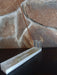 Fern Incense Holder 2