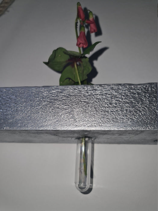 Rustic wooden hanging shelf, handmade and robust, test tube flower holder, different valentine gift