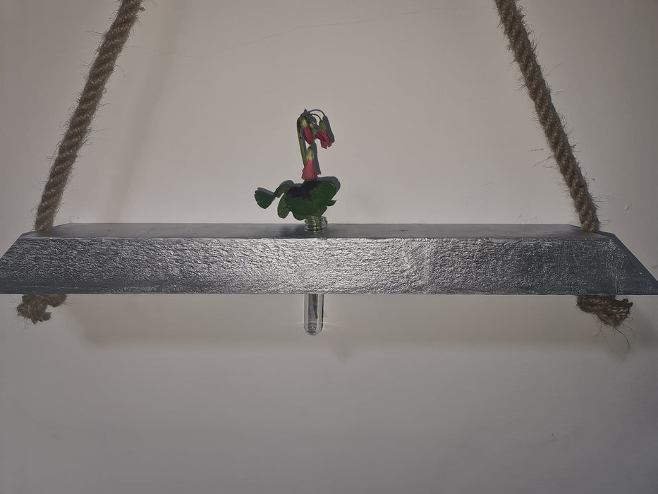 Rustic wooden hanging shelf, handmade and robust, test tube flower holder, different valentine gift