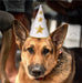 Hat_jess-bailey-kfDHPpCQEBQ-unsplash-04