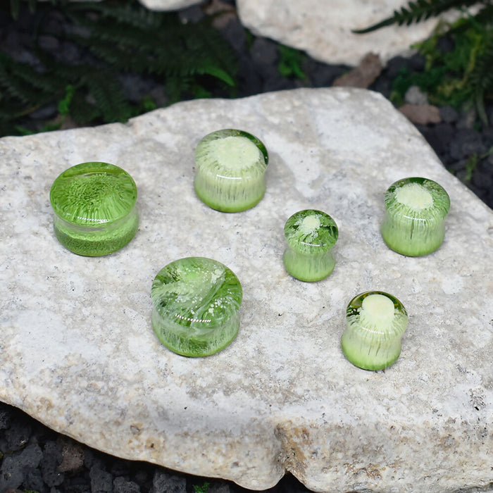 Ear Tunnels 10-18mm | Pair | Ear Plugs | Gauge Earrings | Gauged Plugs | Resin #145