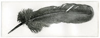 feather003