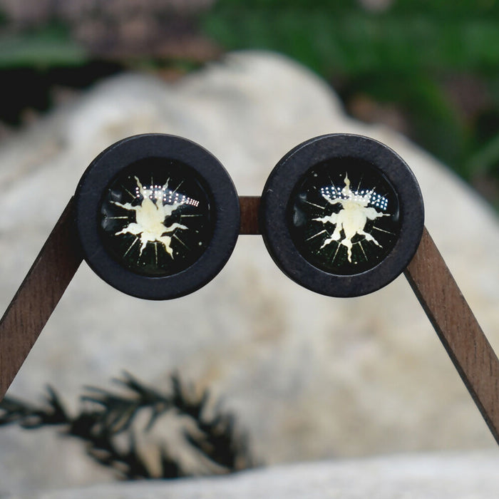 Wood Stud Earrings With Glass Cabochon #218