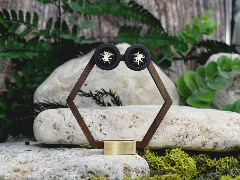 Wood Stud Earrings With Glass Cabochon #218