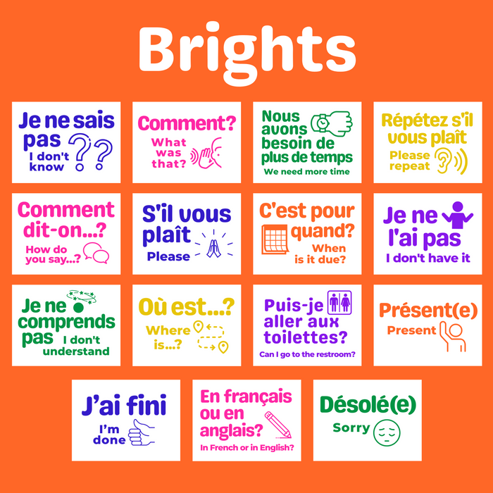 French Class Printable: Classroom Phrases ~ Set of 15 Posters, 6 Designs Included ~ Bulletin Board Display ~ Pastels, Rainbow, Checkerboard