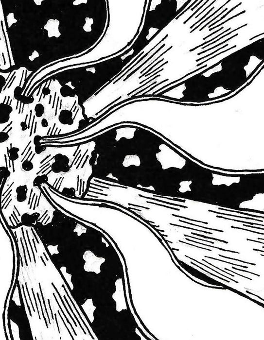 space 3