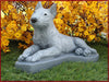bull terrier 3