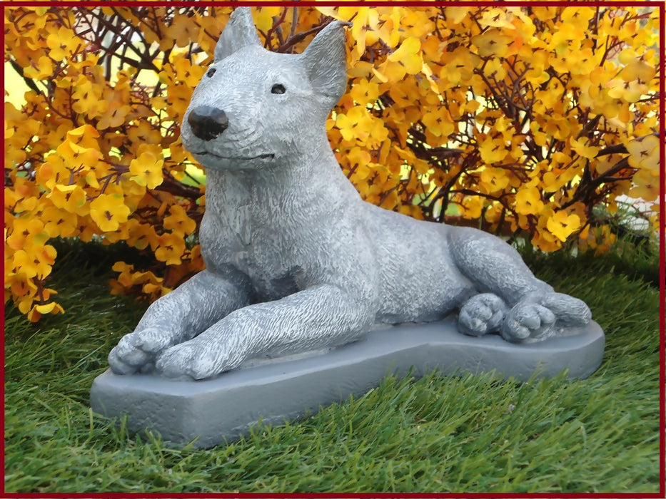 bull terrier 3
