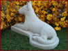 bull terrier 1