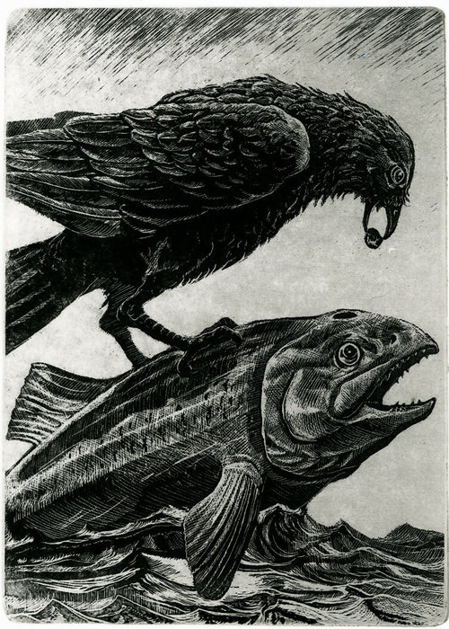 Raven Helps Salmon to Swim