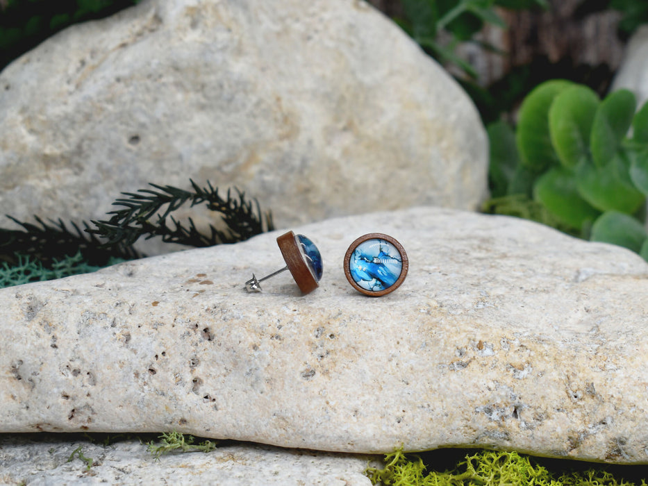 Wood Stud Earrings With Resin Cabochon #365