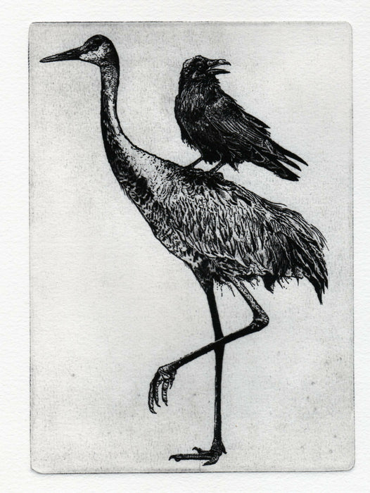 crowcrane007