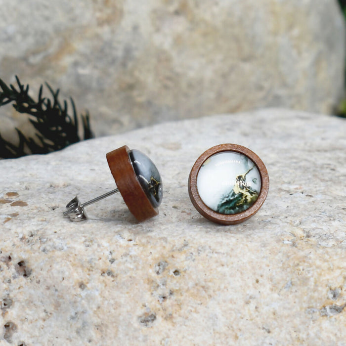 Wood Stud Earrings With Resin Cabochon #364