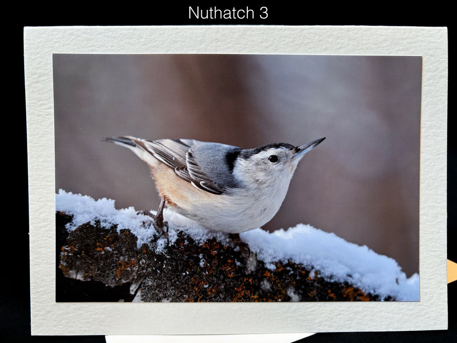 Nuthatch Notecard 3 SM