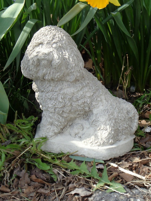 DSC00906