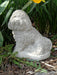 DSC00906