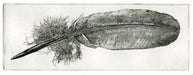 feather002