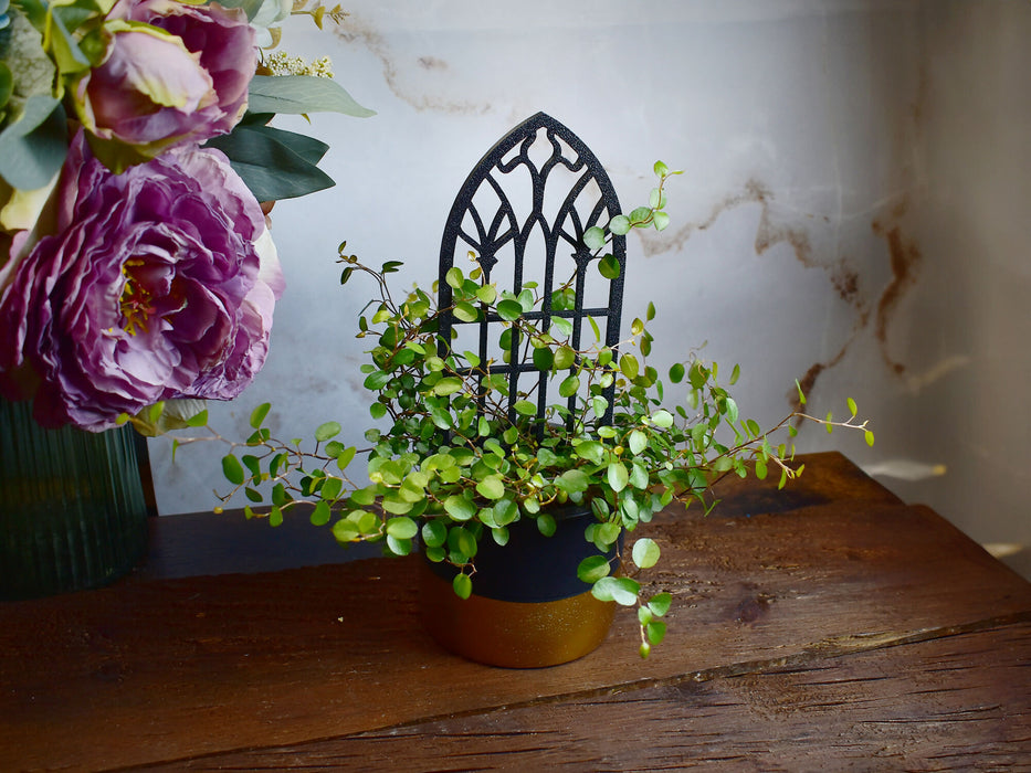 gothic_trellis_1-2