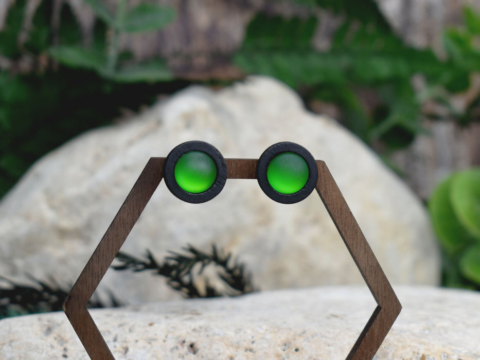 Wood Stud Earrings With Resin Chameleon Cabochon #241