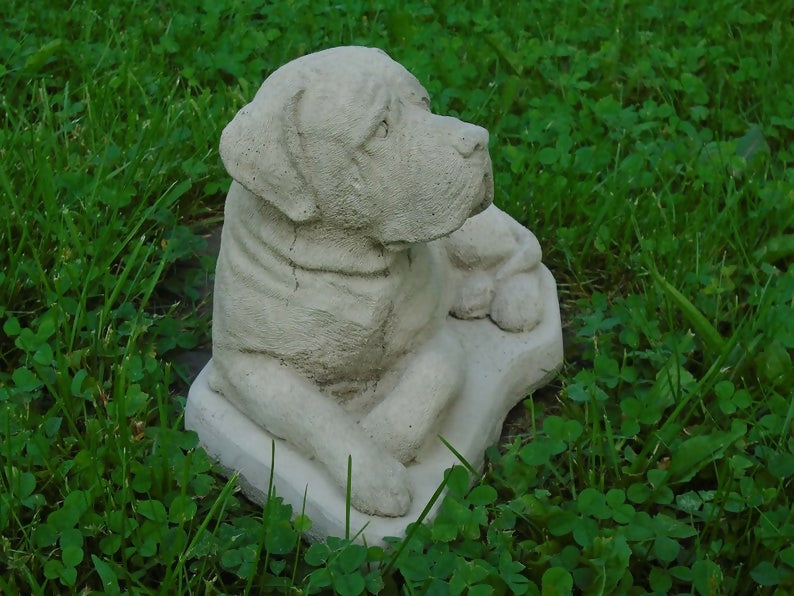 mastiff 1