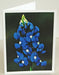 bluebonnet lght