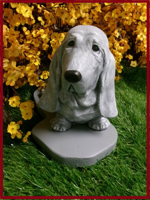 bassett3